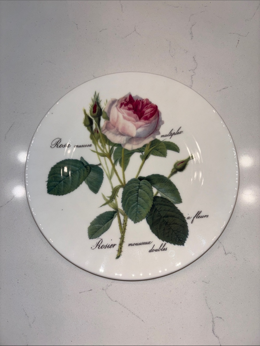 Botanical Rose Porcelain Dinner Plate - Pink and Green